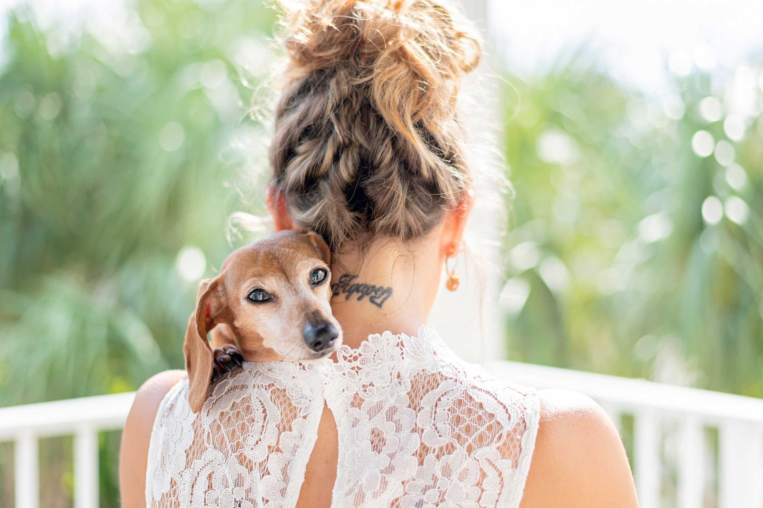 sensitive moment shared between bride and her dog captured by wedding photographer
